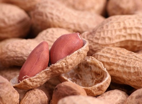 تصویر 3 از بادام زمینی خارجی وارداتی از مرز های جنوبی کشور